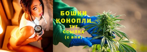 амф Верхний Тагил
