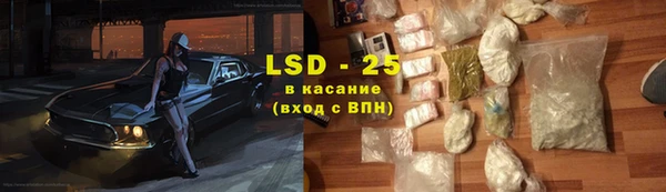 амф Верхний Тагил