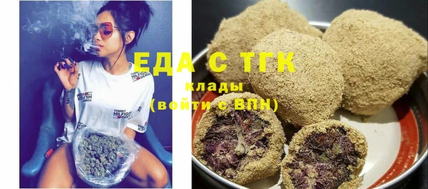 амф Верхний Тагил