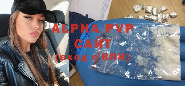 амф Верхний Тагил