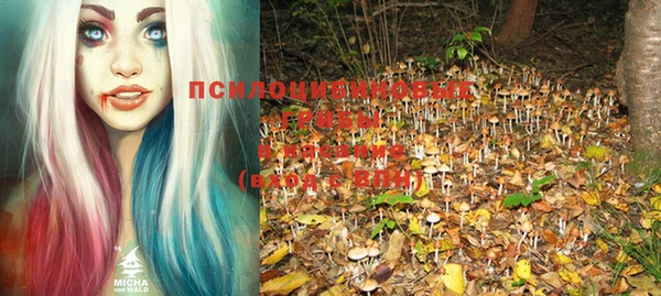 apvp Семикаракорск