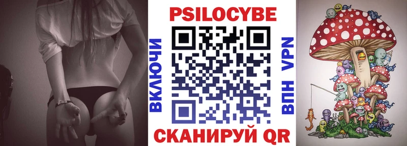 Галлюциногенные грибы Psilocybine cubensis  Северобайкальск 